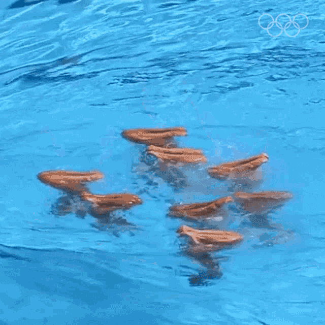 Synchronized swimming team.