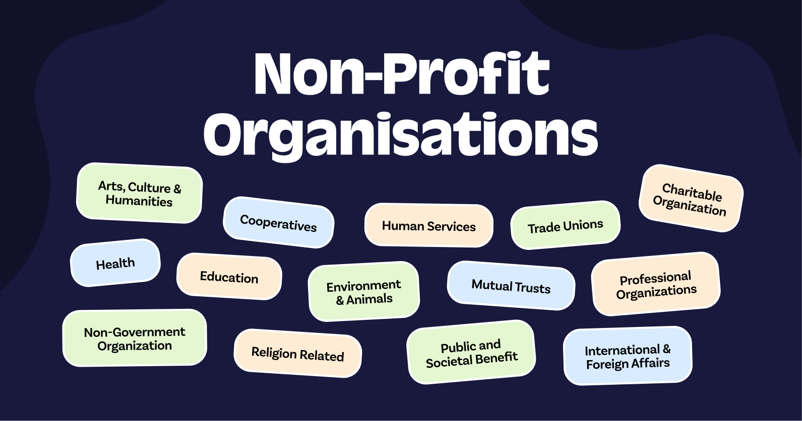 Non Profit, Organization