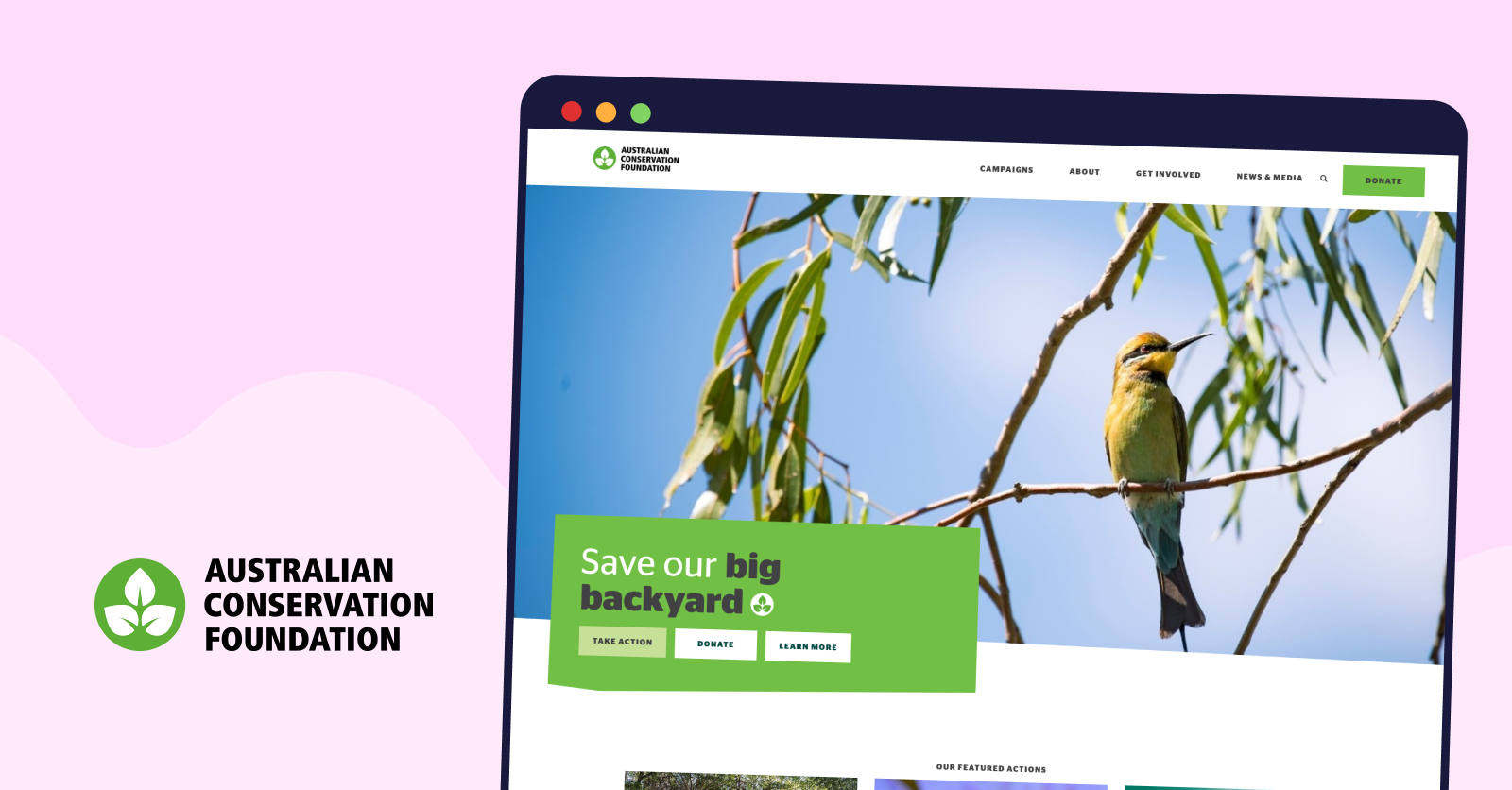 Screenshot of Australian Conservation Foundation's matched giving campiagn.